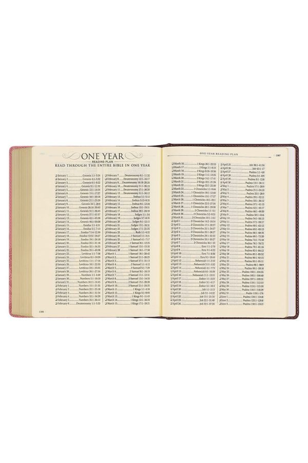 Pink and Brown Faux Leather KJV Note-Taking Bible Fashion - Image 3