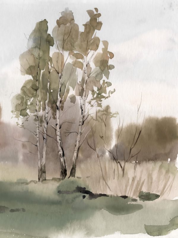 Forest Margin I Cheap